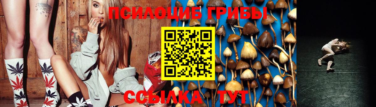 Ярославль  Галлюциногенные грибы мухоморы  Галлюциногенные грибы Magic Shrooms  Вход с VPN 